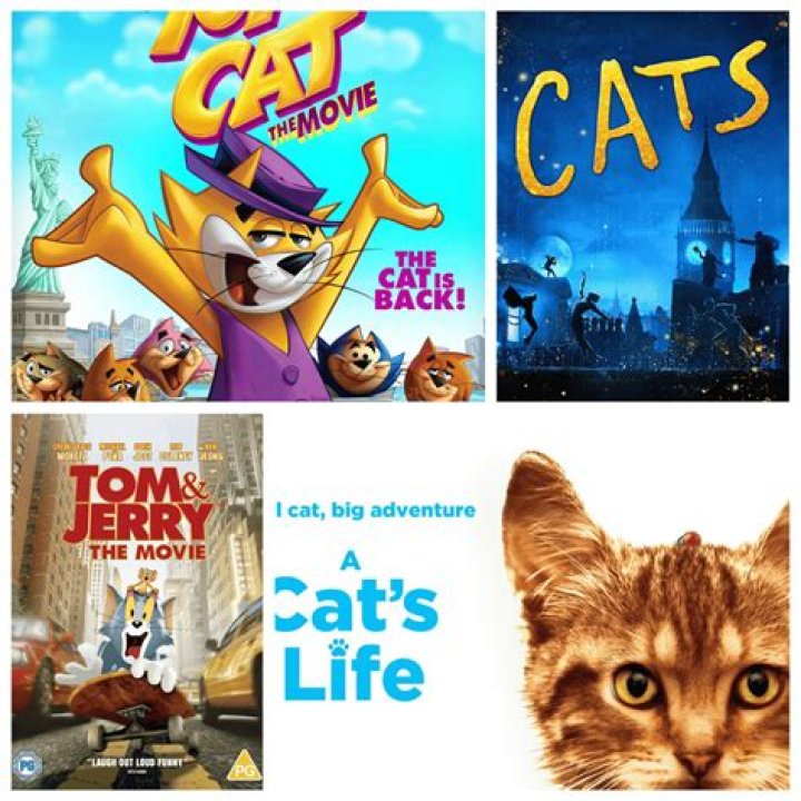Ultimate Guide To Cat Movie HD: Discover The Best Cat Movies To Watch