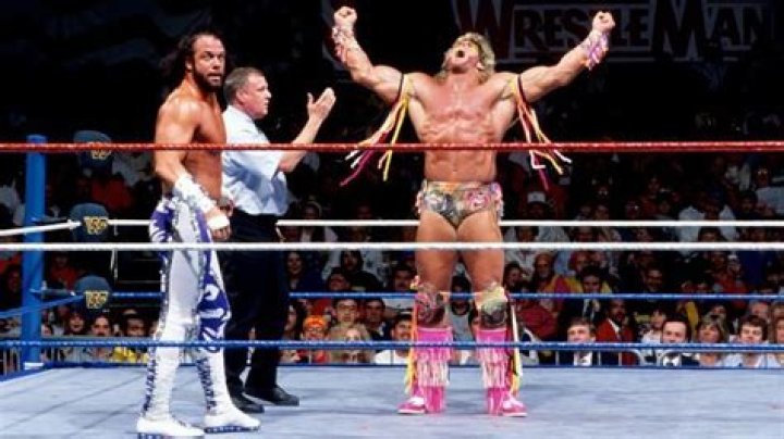 ULTIMATE WARRIOR VS RANDY SAVAGE