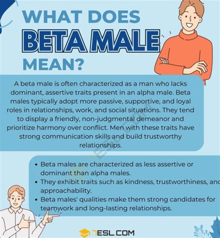 Understanding Beta Males: Characteristics, Myths, And Social Dynamics