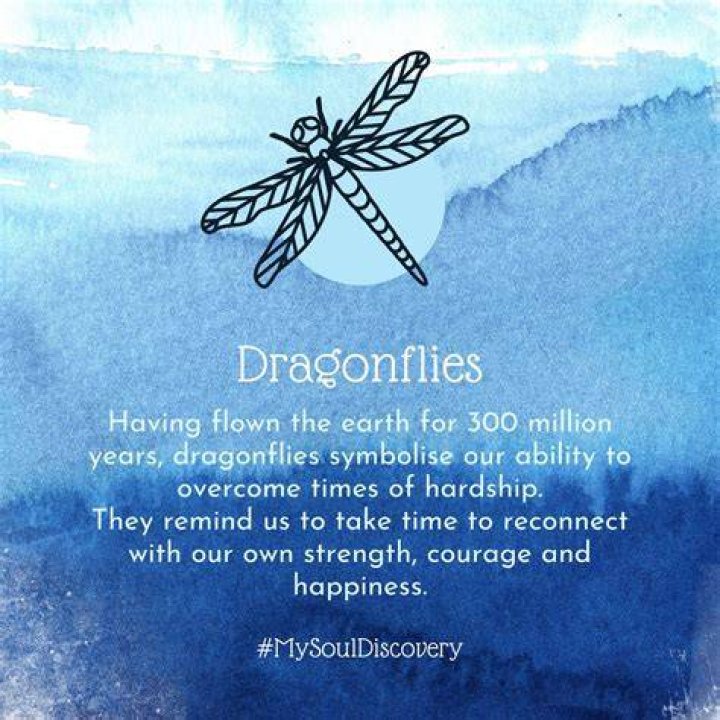 Understanding Dragon Meanings: A Deep Dive Into Symbolism And Cultural Significance