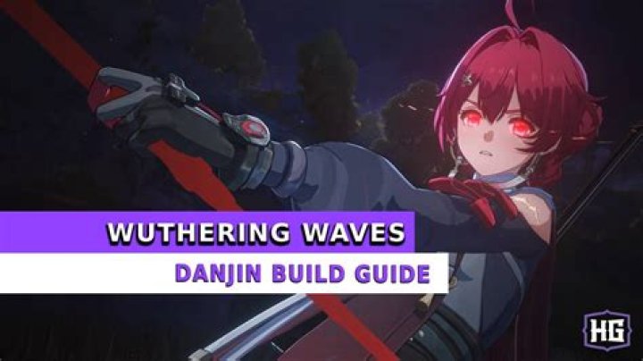 Unleashing The Power Of Danjin Build Wuthering Waves