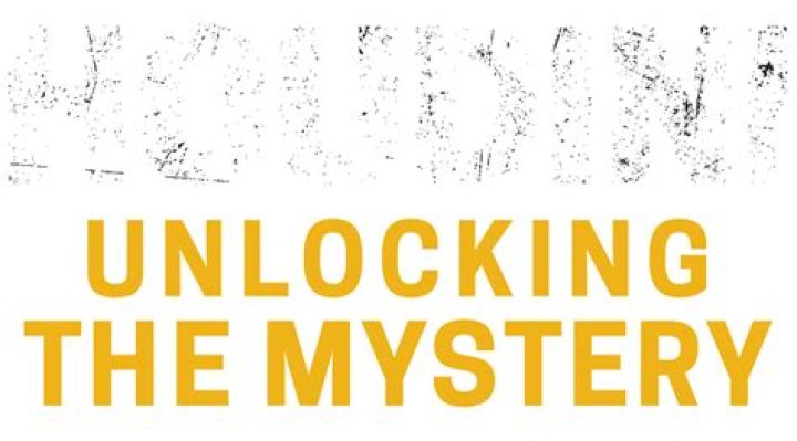 Unlocking The Mystery Behind Whipitdev Leaked Fanfix