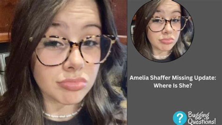 Unraveling The Enigma: Amelia Shaffer's Mysterious Disappearance