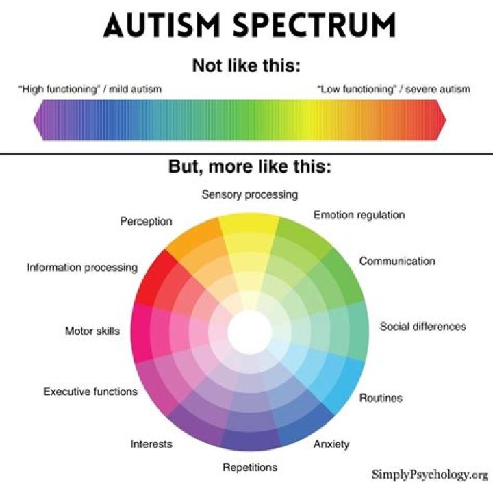 Unraveling The Enigma: Elizabeth Holmes And The Spectrum Of Autism
