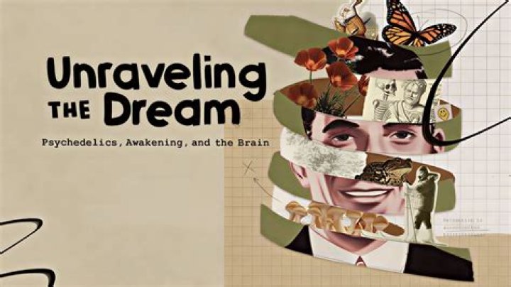 Unraveling The Enigma Of Memory Movies