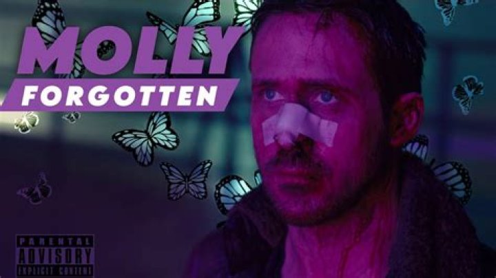Unraveling The Mystery Molly Noblitt Arrested Aubreigh Wyatt