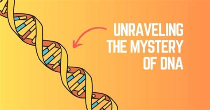 Unraveling The Mystery Of Erome De Sophie Rain