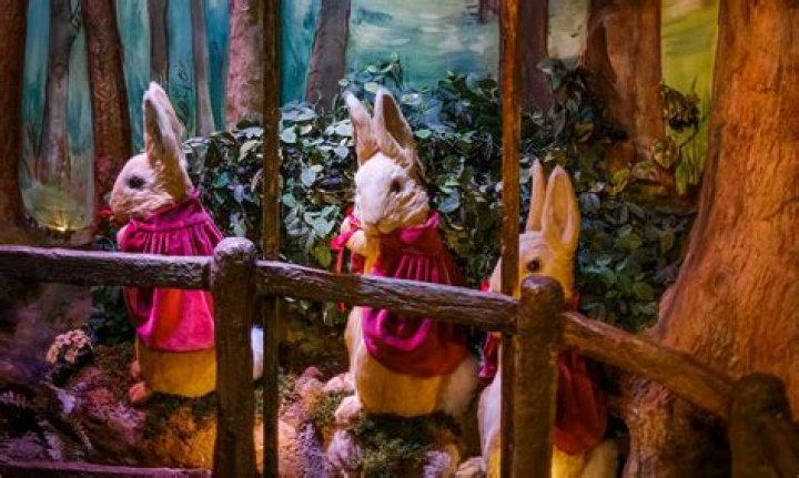 Unveiling The Enchanting World Of Joy Gentry: Discoveries And Insights Await