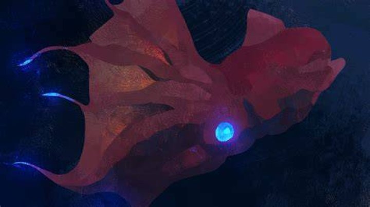 Vampire squid swimming in the deep ocean Vampire squid swimming in the deep ocean