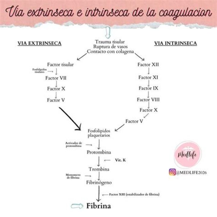 via web.vipwiki.org