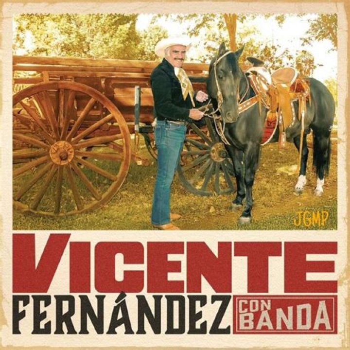 Vicente Fernández's son died Vicente Fernández's son died