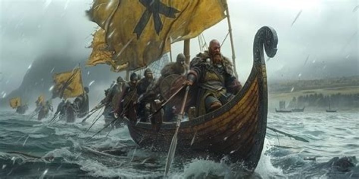 Viking Raiders 
