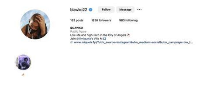 Virtual influencer, Blawko. Photo / Instagram/@blawko22