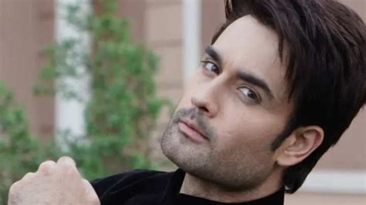 Vivian Dsena Picture
