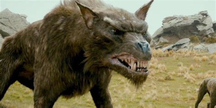 Warg Wolf in The Hobbit
