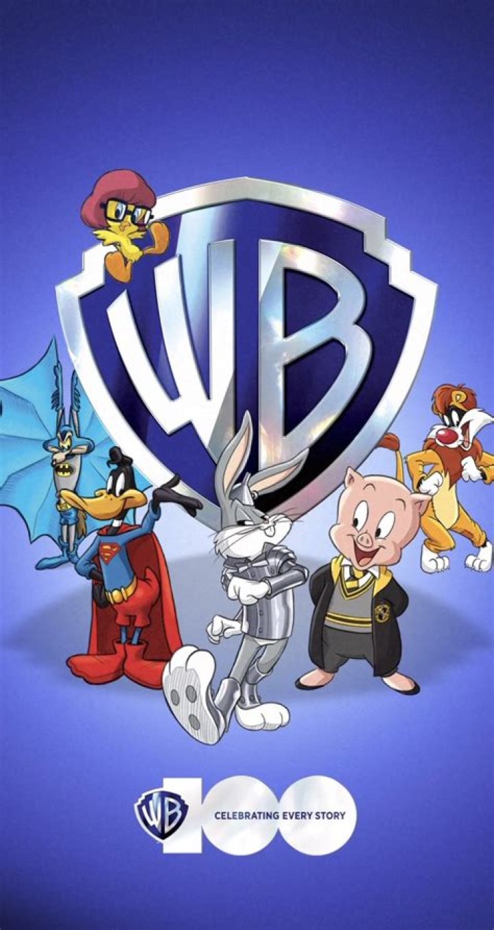 Warner Bros. Cameos Fan Casting for Disney vs Looney Tunes | myCast