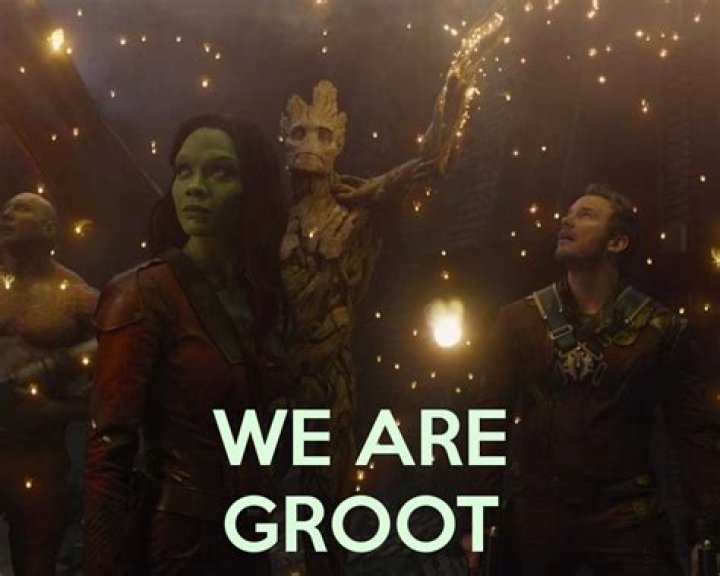 We Are Groot
