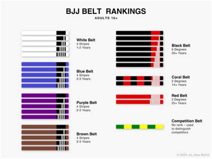 What BJJ Belt Is UFC Lightweight Bobby Green?