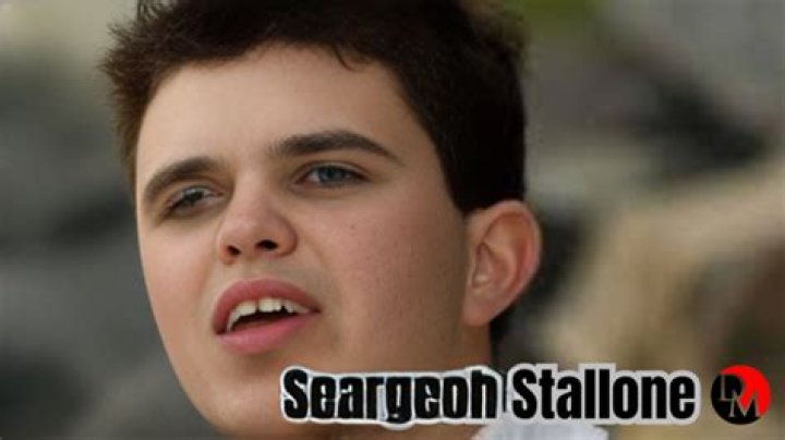What Does Seargeoh Stallone Do For A Living?