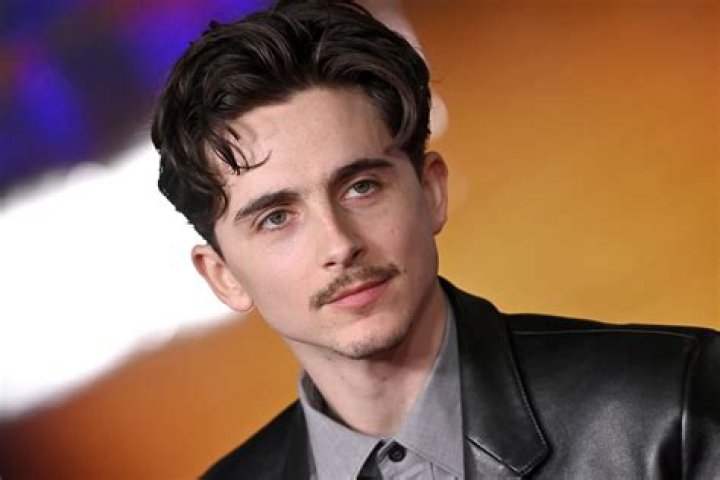 What does Timoth&eacute;e Chalamet do?