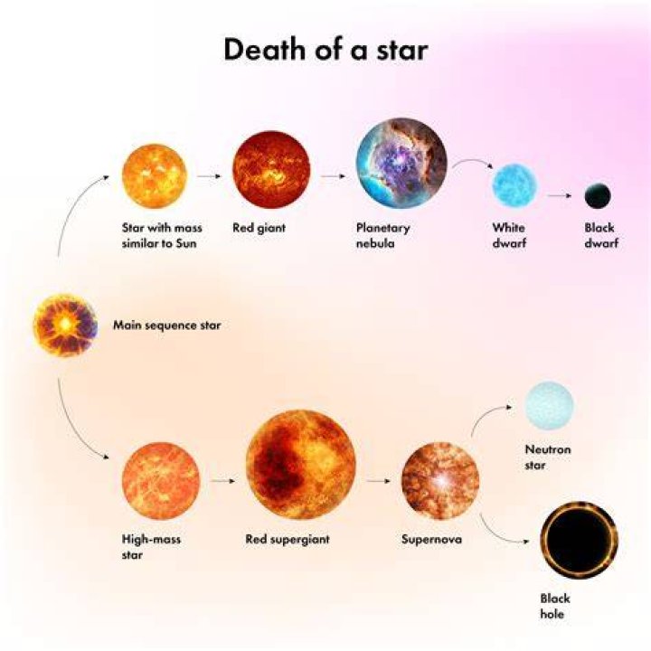What Happens When The Stars Get Divorced?