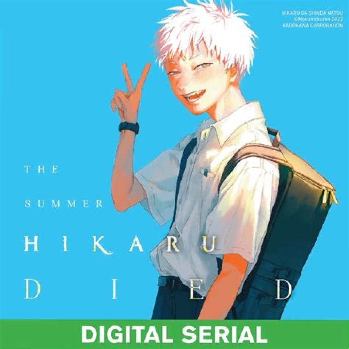 What Is Hikaru's Net Worth, Really? YouTube