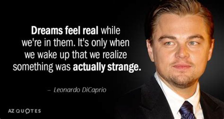 What we imagine Leonardo DiCaprio is like at parties. Photo / Supplied