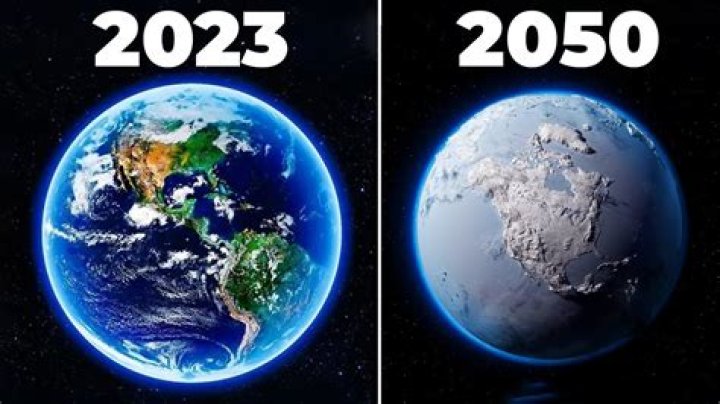 What Will the World Look Like in Five Years? Real Vision