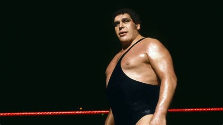 When Did Andre The Giant Die? The End Of A Fate Sound and Silence
