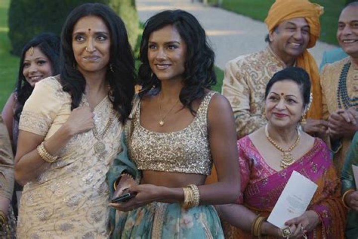 Who Is Comedian Sindhu Vee's Husband? Married Life & Children