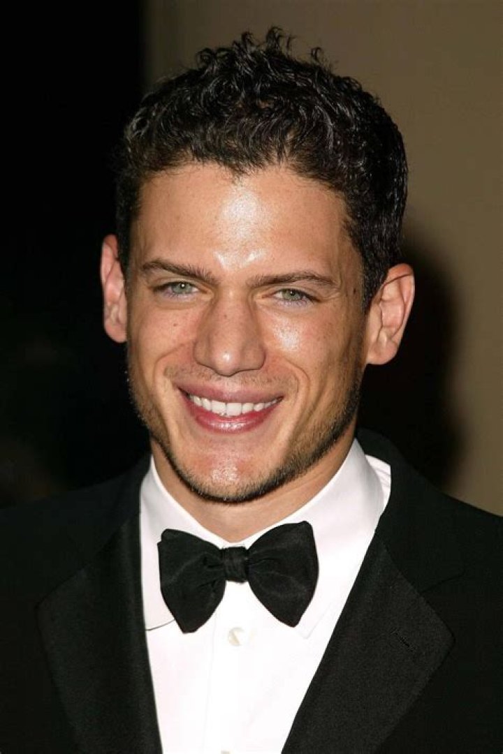 Who is Wentworth Miller's partner Luke MacFarlane?