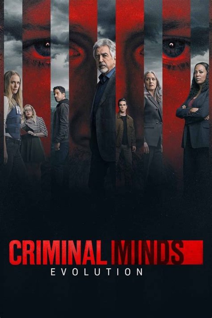 Why Criminal Minds Ended After Season 15 (Was It Canceled?)