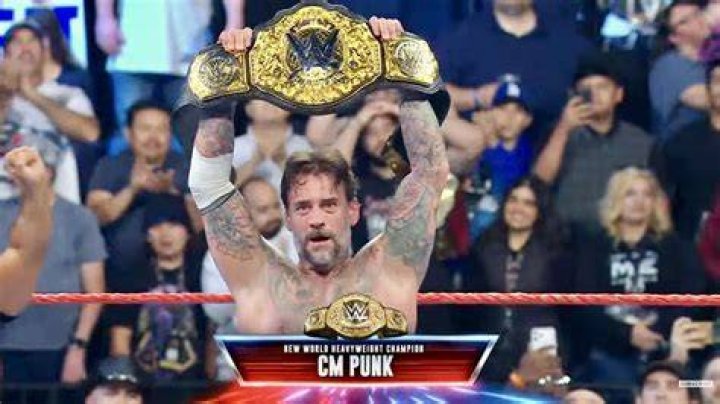 Why Did CM Punk's New Nexus Fail In WWE?