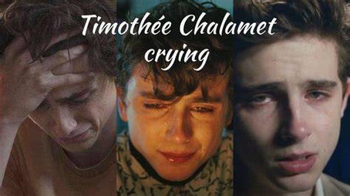 Why is Timoth&eacute;e Chalamet so special?