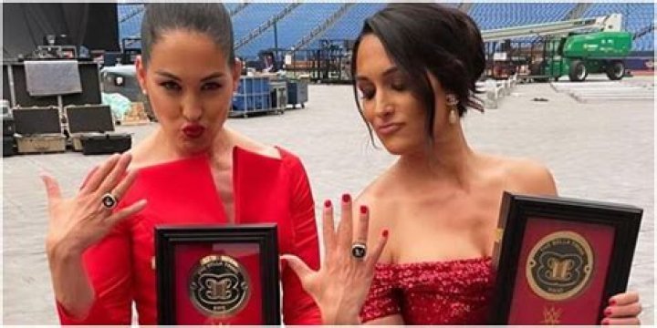 Why Nikki & Brie Bella Left WWE In 2012, Explained 