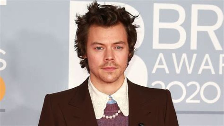 Why Pregnancy Rumors Are Flying About Olivia Wilde And Harry Styles