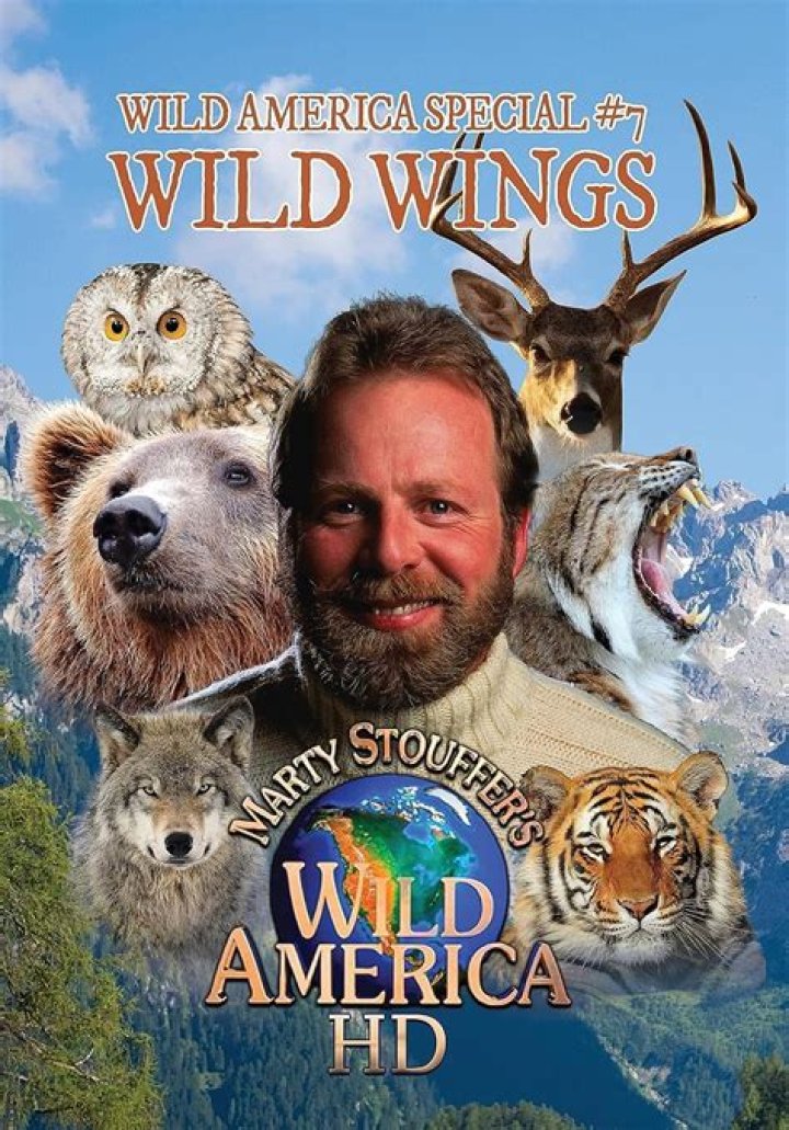 Wild America
