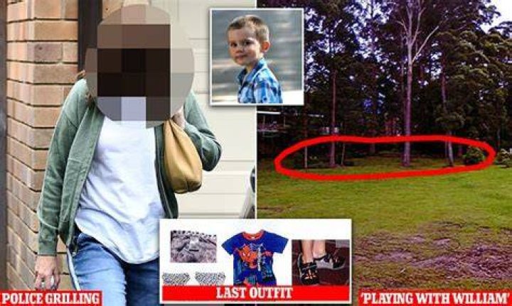 William Tyrrell was last seen wearing a Spider-Man suit outside his foster grandmother's home on September 19, 2014.