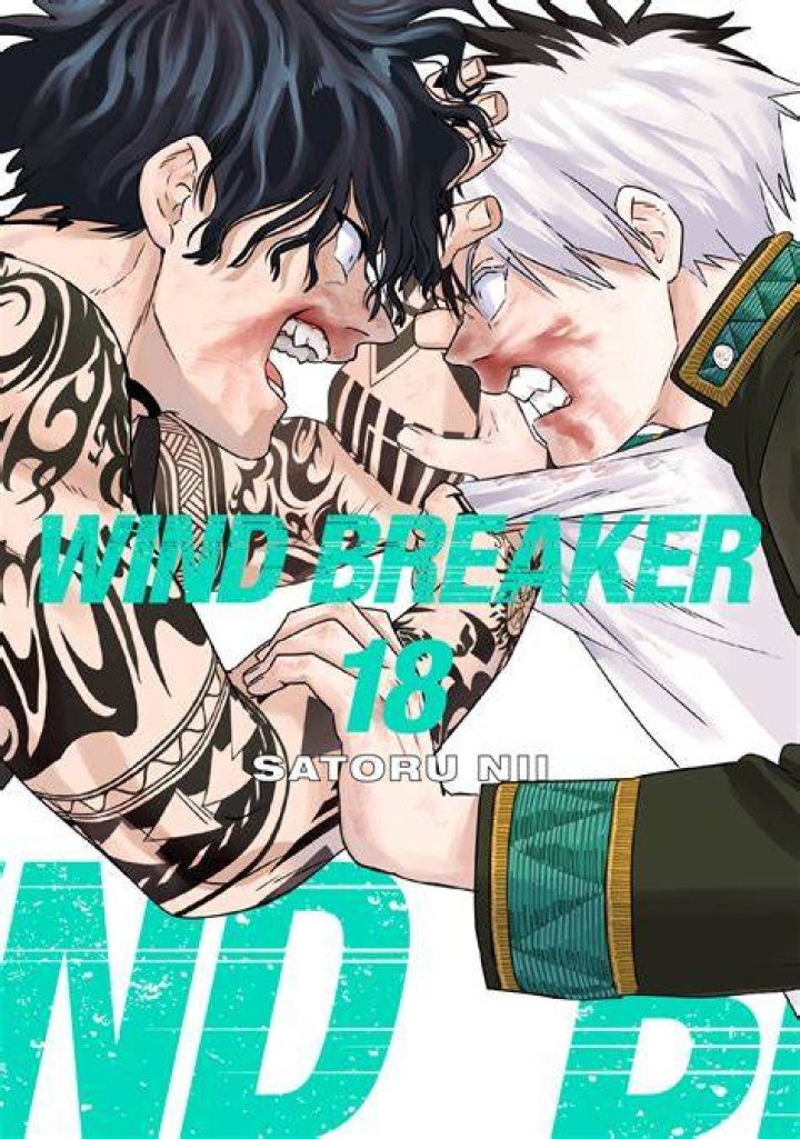 Wind Breaker Chapter 147 Mangapill