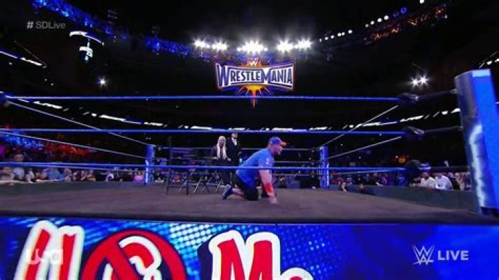 WrestleMania 33: John Cena proposes to Nikki Bella