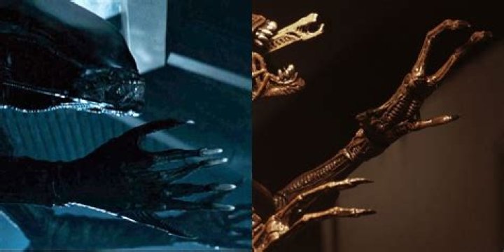 Xenomorph hands as they were in Alien and Alien Resurrection