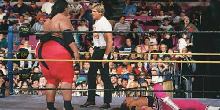 Yokozuna v Bret Hart WrestleMania 10 Cropped