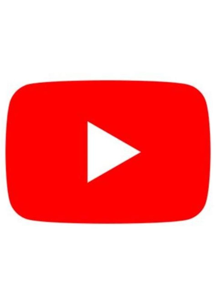 YouTuber Party Fan Casting on myCast