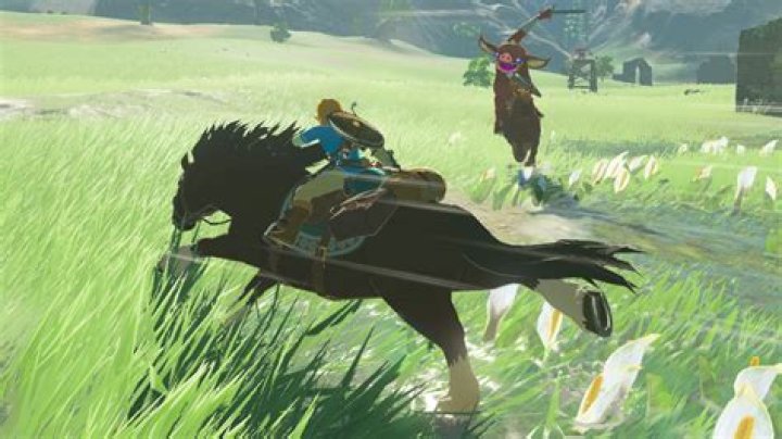 Zelda Breath of the Wild Open World Problems Solved