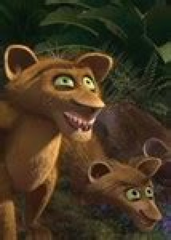 Zuba (Madagascar) Fan Casting